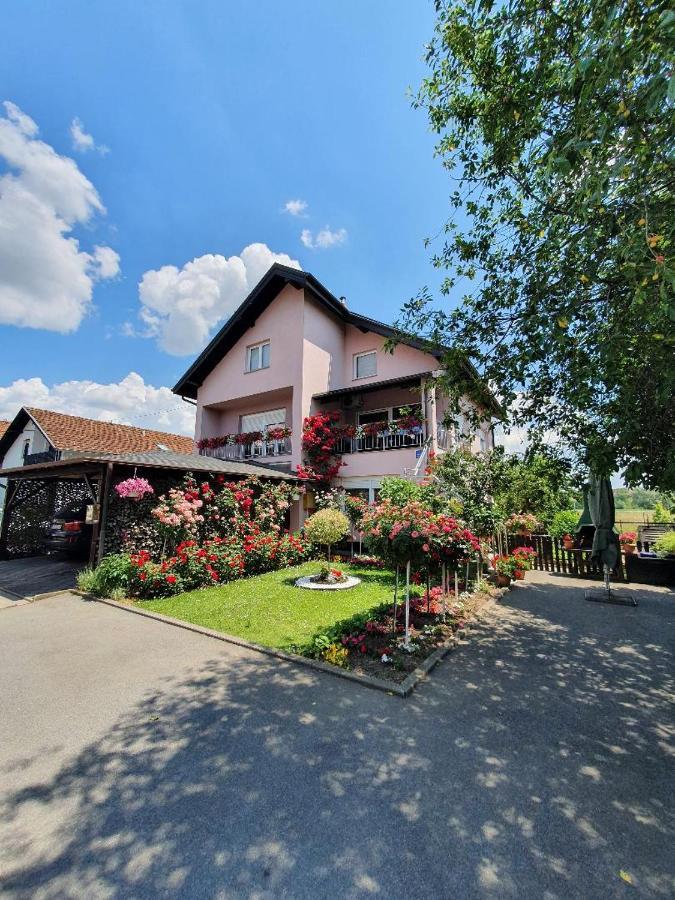 Apartman Vesna Бьеловар Экстерьер фото
